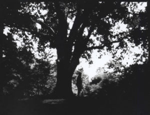 Silver Gelatin Print From Pinhole Paper Negative joez@joe-ziolkowski.com