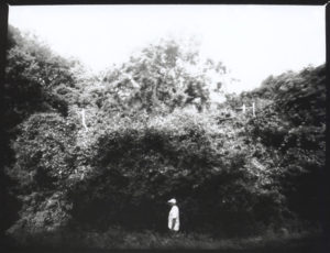 Silver Gelatin Print From Pinhole Paper Negative joez@joe-ziolkowski.com