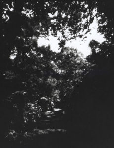 Silver Gelatin Print From Pinhole Paper Negative joez@joe-ziolkowski.com