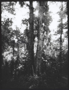 Silver Gelatin Print From Pinhole Paper Negative joez@joe-ziolkowski.com