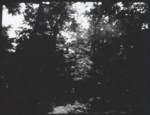 Silver Gelatin Print From Pinhole Paper Negative joez@joe-ziolkowski.com